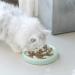 Cilkus Slow Feeder Bowl for Cats and Small Dogs - Fish Pool Design | Bloat Stop Puzzle Feeder for Healthy Eating | Melamine Food Grade Material | Dishwasher Safe | Green - Buy Online on GoSupps.com