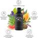 BERGBAD Sauna Infusion BIRKE PUR 100ml | Natural Essential Oils for Relaxation - International Shipping Available - Buy Online on GoSupps.com