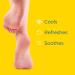 Dr. Scholl's Probiotic Foot Spray 4oz - Odor Eliminator & Shoe Deodorizer - Buy Online on GoSupps.com