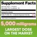 High Potency GOS Prebiotic Fiber Syrup 5g Galactooligosaccharides Supports Digestive Regularity Gut Health & Immune Support Helps Reduce Bloating & Cravings 30 Servings No Grit Sweet Taste - Buy Online on GoSupps.com