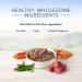 Blue Homestyle Recipe Natural Wet Dog Food Beef 12.5oz (Pack of 12) Beef Case of 12 - Buy Online on GoSupps.com