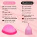 CTDMJ Menstrual Disc Set of 2 (S & L) + Storage Bag | Reusable Medical-Grade Silicone | Soft Period Disc | Feminine Hygiene Cups - Buy Online on GoSupps.com