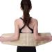 Back Brace Back Braces for Lower Back Pain Relief Breathable Back Support Belt Adjustable Lumbar Support Belt Reinforced Bones Back Pain Belt Xl - Buy Online on GoSupps.com
