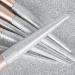 12-Piece Silver Frosted Makeup Brush Set | Blush & Highlight Beauty Tools for Flawless Application - Buy Online on GoSupps.com
