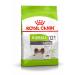 M hlan Zoo Royal Canin X-Small Ageing 500g feed pet food dry food for dogs