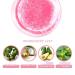 Koahde Natural Lip Peeling - 2 in 1 Lip Care & Repair Sugar Scrub for Cracked & Dry Lips - 30g Sleep Mask - Buy Online on GoSupps.com