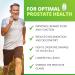 Ben's Total Health Prostate Supplement | Clinical Strength for Men's Prostate Health | Reduce Frequent Urination & Inflammation | Natural Urinary Support | 120 Capsules - Buy Online on GoSupps.com