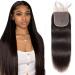 Closure Human Hair 4X4 Lace Closure Brazilian Virgin Human Hair Straight Lace Closure Free Part 100% Unprocessed Human Hair 4x4 Lace Closure Natural Black Color Wet And Wavy Hair Closure 10inch