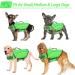 Alagirls Ripstop Dog Lifeguard Vest with Rescue Handle | Medium to Large Sizes | Green | Ideal for Small & Medium Dogs - Buy Online on GoSupps.com