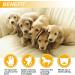  Upgrade Pet Dog Cat Grooming Glove Gentle Deshedding Brush Glove Efficient Pet Hair Remover Mitt Massage Tool with Enhanced Five Finger Design for Dogs Cats Rabbits Horses with Long/Short Fur 1 Pair Pink 1 Pair  - Buy Online on GoSupps.com
