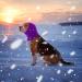 cobee Dog Snood for Dog Neck and Ear Warmer Dog Snood Dog Neck and Ears Warmer Dog Neck Ear Warmer Hood Pet Dog Earmuff for Wearing in Bathing Grooming Waterproof Reducing Noise Helps Calm(Purple M) Purple M Size - Buy Online on GoSupps.com
