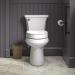 KOHLER Hyten Elevated Quiet-Close Elongated Toilet Seat - White | Comfortable and Stylish Upgrade - Buy Online on GoSupps.com