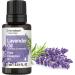 Horb ach Lavender Pure Essential Oil | .51 fl oz (15ml) | for Massage Bath or Home Diffusers