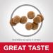 Hill's Science Diet Kitten Dry Cat Food - Chicken Recipe 7 lb (1 Pack) - Buy Online on GoSupps.com
