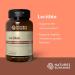 Nature's Sunshine Lecithin 180 Softgels - Healthy Brain and Liver Support - Buy Online on GoSupps.com