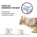 Y YHY Raised Tilted Cat Food and Water Bowl Set - No Spill, Elevated Ceramic Feeder for Flat-Faced Cats and Small Dogs (White, Set of 2) - Buy Online on GoSupps.com