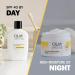 Olay Complete + Rich Moisturizing Cream Fragrance-Free 3-in-1 Hydrating Face Cream for Dry Skin with Vitamin B3 Vitamin E and Ceramides 251 mL 251 ml (Pack of 1) - Buy Online on GoSupps.com