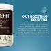 RSP Nutrition TrueFit Grass-Fed Whey Protein Shake with Fruits & Veggies Chocolate 2 lbs (940 g) - Buy Online on GoSupps.com