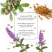 BIBA DE SOUSA Onerta Cream Barrier - Intense Hydration for Dry & Mature Skin | Peptide-Infused Moisturizer (1.7 oz) - Shop Now - Buy Online on GoSupps.com