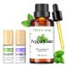 100% Pure Peppermint Extract Unique Refreshing Mint Oil Flavor Improves Focus and freshens The air - 30ml Mint Oil + Travel Size 10ml Mint + 10ml Lavender 2 roll-on Essential Oils