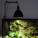 AIICIOO Reptile 8.5 Aluminum Reflective Dome Shade - Ideal Heat Lamp for Turtles & Reptiles - Buy Online on GoSupps.com