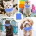 POPETPOP Covers Elastic Snood Protection Warm Warmer Multi-Function for Puppy Portable Noise Pet Earmuff L Blue - Buy Online on GoSupps.com