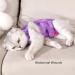 Buy Lianzimau Katzenbody: Medical Cat Body Suit for Post-Op Care | Anti-Losing Clothing for Cats - International Shipping Available - Buy Online on GoSupps.com