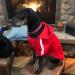 Petleso Fleece Dog Sweater & Coat for Large Dogs - Warm Red Hoodie Easy On/Off | Size 4XL - Buy Online on GoSupps.com