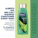 3 Pk Alberto VO5 Men's 3-in-1 Shampoo Conditioner Body Wash Fresh Energy 12.5oz - Energizing All-In-One Men's Hair and Body Care - Buy Online on GoSupps.com