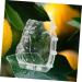 SUPVOX Shape Reusable Transparent Planting Shaping Tools Luck for Growing Forming Garden Peach Gardening - Buy Online on GoSupps.com