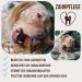 Petlove Chewing Root for Dogs - Natural Hypoallergenic Chewing Bones Without Additives | Size S (125-249g) - Ideal for Puppies - Buy Online on GoSupps.com