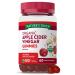 Organic Apple Cider Vinegar Gummies | 60 Count | Vegan, Gluten Free & Non-GMO | USDA Certified Organic | Apple Flavor | by Nature's Truth