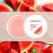 SANDIA SYS LIP BALANCE Organic Lip Care 100% certified natural cosmetics 15 ml - Buy Online on GoSupps.com