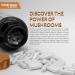 WELLNESS LABSRX Mushroom Supplement Capsules 10:1 Extract Mushroom Complex Capsules 1000mg Lions Mane Supplement with Turkey Tail Cordyceps Reishi - 120 Count 120 Count (Pack of 1) - Buy Online on GoSupps.com