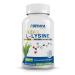 Clean L-Lysine 600mg 120 Capsules | Vegan Non-GMO & Gluten Free