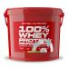 Scitec Nutrition Protein 100% Whey Protein Professional Banana 5000 g Banana 5 kg (1 pack)