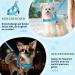 Eyein No-Pull Dog Harness with Leash | Soft Padded Adjustable & Reflective | Perfect for Puppies Small & Large Dogs Cats - Light Blue (Size S) - Buy Online on GoSupps.com