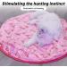 Shengruili Interactive Hunting Cat Toys - Stimulating Play Carpet & Training Mat for Cats | B-Z-Green - Buy Online on GoSupps.com