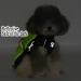 Zunea Waterproof Raincoat for Medium & Large Dogs - Reflective Windproof & Mesh Lined - Green 7XL - Perfect Outdoor Clothing for Wet Days - Buy Online on GoSupps.com