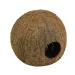 JBL 61512 Coconut shell as a cave for aquariums and terrariums Cocos Cava 3/4 LL 3/4