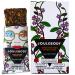 JOULEBODY 5 PM Good Feeling Organic Ginger Goji Seedbar | Gut-Health Treat Superfood | 6 Count Ginger Goji Pack of 6