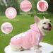 Dolahovy Dogs Hoodie | Cozy Autumn Winter Dog Sweater Vest for Small & Medium Dogs Cats and Puppies Stylish Pet Outfits & Costumes - Buy Online on GoSupps.com