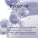 Re.SPN Bakuchiol Lifting Roller Cream For Wrinkles Lifting & Pore Tightening on Face & Neck with Gua Sha Applicator Vegan Natural Retinol Niacinamide K-Beauty (1.69 fl oz) Citrus(Bakuchiol) - Buy Online on GoSupps.com