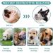 Dog Muzzle with Soft Cover | Adjustable & Breathable Protection for Small Medium & Large Dogs | Bite & Chew Resistant | Size S (8 - 9 ) - Buy Online on GoSupps.com