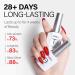 AILLSA Gel Top Coat and Base Coat Set - 2 x 15 ML UV/LED Soak Off Gel Polish for DIY Nail Art - Builder Gel Base, No Wipe Top Coat - Buy Online on GoSupps.com