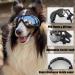 Tsathoggua Dog Goggles Dog Sunglasses with Elastic Strap UV Pet Goggles Protect Dog's Eyes for UV Wind Dust and Fog Medium/Large Breed - Buy Online on GoSupps.com