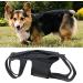 Breathable Dog Back Brace - Pets Back Protector Soft Back Bracers Breathable Back Bracer Helps to Relieve Dogs Spine Problems Black 3 Size Black Large - Buy Online on GoSupps.com