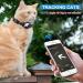 Buy Airtag Cat Collar with Safety Lock & Elastic Band - Black | Fits Kittens Cats & Puppies (23-33cm) | Secure Apple Air Tag Holder - Buy Online on GoSupps.com