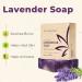 Hemp Soap Bar Variety 3 Pack - Tea Tree, Lavender, Eucalyptus - 5 oz Bars - Moisturizing Cleansing Soap with Natural Ingredients - Made in USA - Buy Online on GoSupps.com
