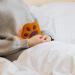Voiakiu Small Hot Water Bottle - Cute Bear Silicone Heat Bottle for Menstrual Cramps & Winter Comfort | Perfect Hand & Foot Warmer - Buy Online on GoSupps.com